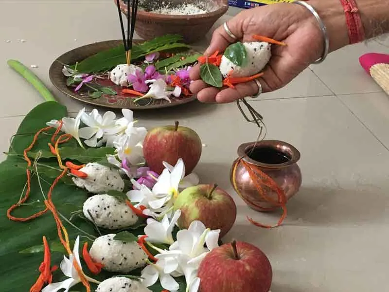 Hand offering a rice pind with til and flowers during Tripindi Shradh